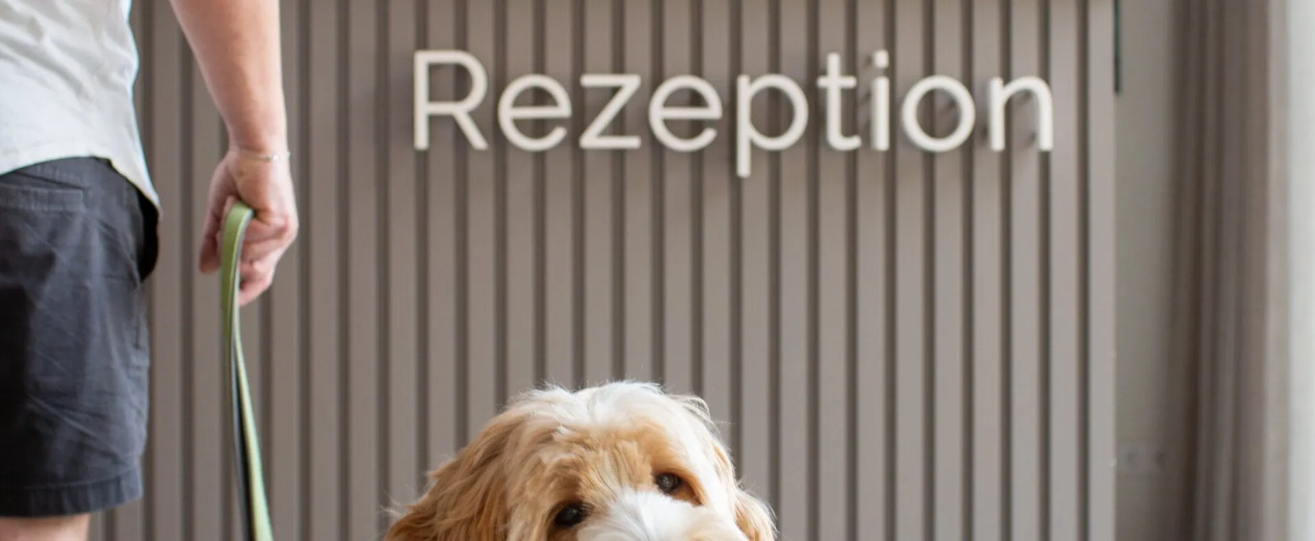 Urlaub mit Hund im Hotel Hofgut Sternen in Deutschland / zertifiziert hundefreundliche Unterkünfte in Baden-Württemberg