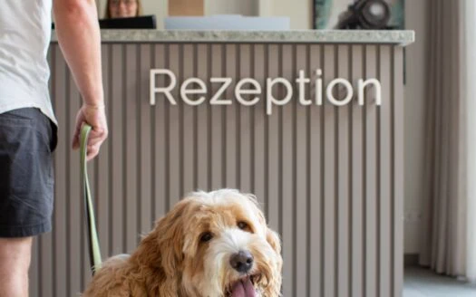Urlaub mit Hund im Hotel Hofgut Sternen – gemeinsam den Schwarzwald erschnuppern – direkt an der Ravennaschlucht!