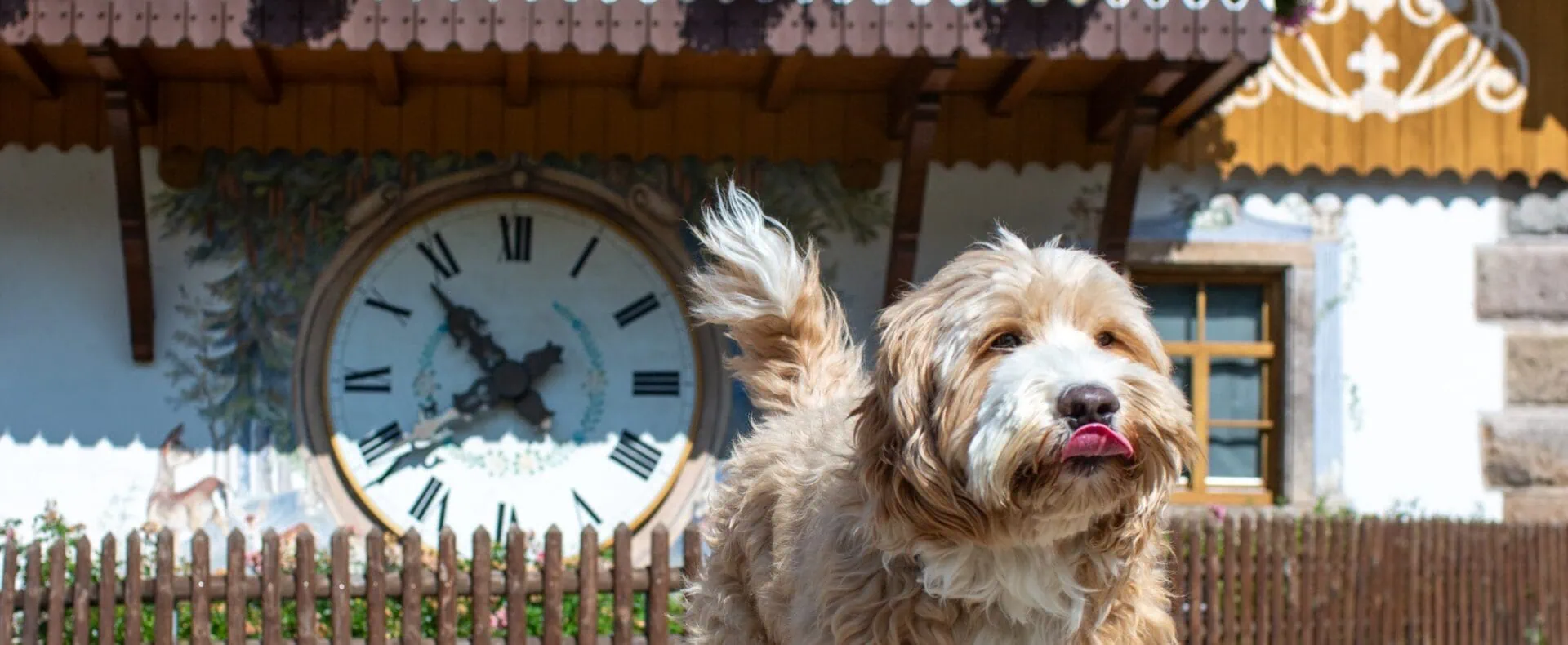 Urlaub mit Hund im Hotel Hofgut Sternen in Deutschland / zertifiziert hundefreundliche Unterkünfte in Baden-Württemberg