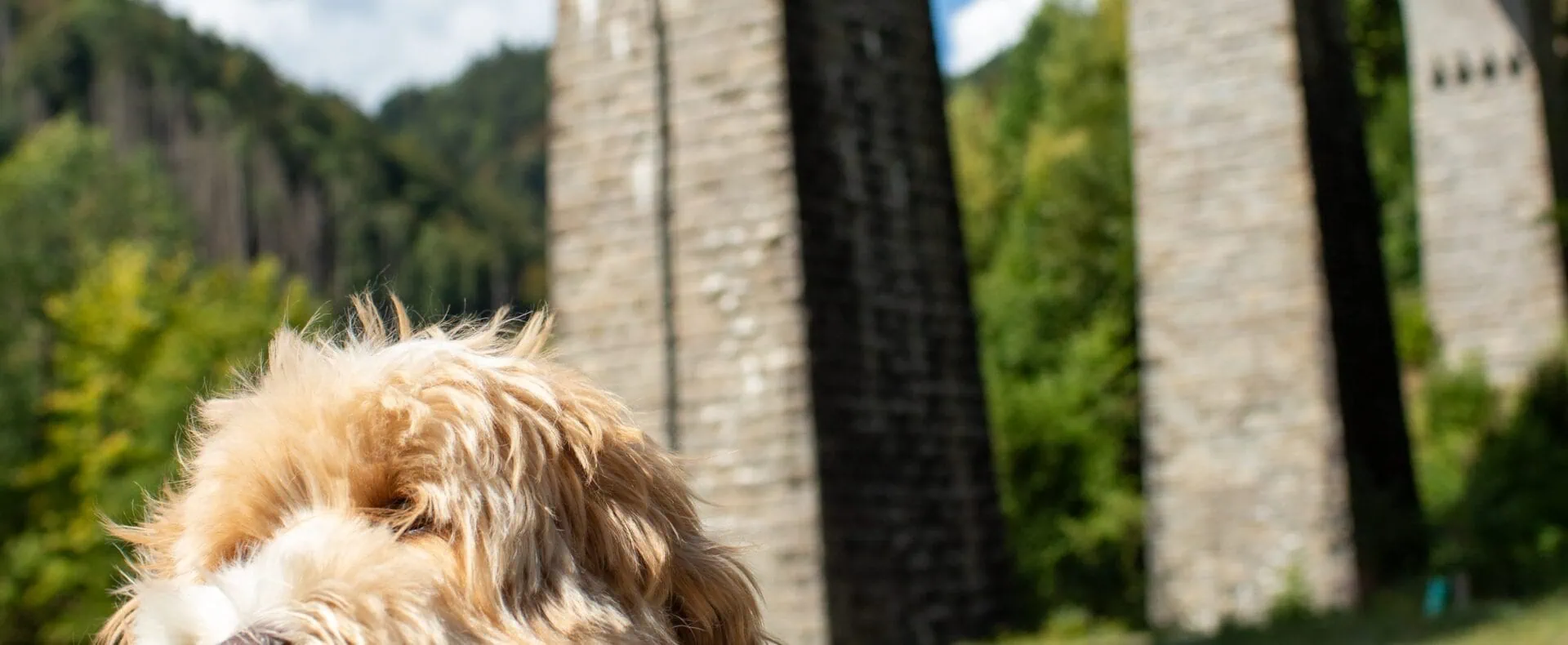 Urlaub mit Hund im Hotel Hofgut Sternen in Deutschland / zertifiziert hundefreundliche Unterkünfte in Baden-Württemberg