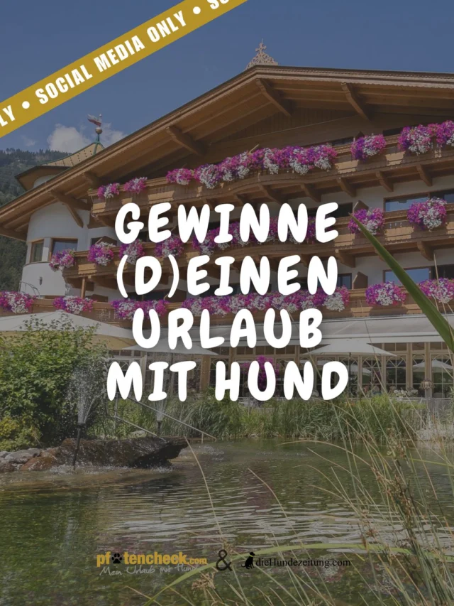 ✨ GEWINNSPIEL - Aufgepasst heute verlosen wir wieder einen tollen Preis in Kooperation mit dem @hotel_magdalena_zillertal🐶

🎁 Der Gewinn: Zwei Nächte im Doppelzimmer Deluxe Luis für 2 Personen mit Hund im @hotel_magdalena_zillertal🐕🍃

Was du tun musst, um am Gewinnspiel teilzunehmen?
✅ Folge @pfotencheck, @die.hundezeitung & @hotel_magdalena_zillertal
✅ Like diesen Beitrag
✅ Verrate uns in den Kommentaren, wen du mitnehmen würdest. (1 Kommentar = 1 Los) 💬
Optional: teile diesen Beitrag in deiner Story (Sharing is caring 🥰)

Wir drücken euch ganz fest die Pfötchen! 🍀🐾

Teilnahme ab sofort bis einschließlich Dienstag, 06.10.2026. Der Gewinner wird per Zufallsgenerator ermittelt und schriftlich verständigt. Alle Daten werden ausschließlich für das Gewinnspiel verwendet und nicht an Dritte weitergegeben. Eine Barablöse ist ausgeschlossen. Das Gewinnspiel steht in keinerlei Verbindung und wird nicht von Facebook oder Instagram gesponsert, gefördert oder organisiert. Detaillierte Gewinnspielbedingungen 👉 Link in Bio

#gewinnspiel #pfotencheck #meinurlaubmithund #urlaubmithund #diehundezeitung