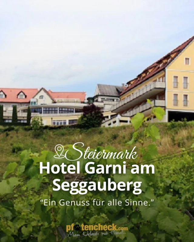 🐾 Empfehlung: Hotel Garni am Seggauberg – hundefreundliche Auszeit in der Südsteiermark 🐶🌿

Im ruhig gelegenen Hotel Garni am Seggauberg sind Vierbeiner herzlich willkommen. Für einen entspannten Aufenthalt stehen Hundedecken, Futternäpfe und Hundehandtücher kostenlos zur Verfügung. Ein besonderes Highlight sind die sechs speziell eingerichteten Hundezimmer mit eigener, abgezäunter Wiese, auf der sich die Fellnasen frei bewegen können. 🐾

Auch beim Frühstück muss dein Hund nicht im Zimmer bleiben: Auf der Panoramaterrasse darf er dich gerne begleiten. Danach geht es direkt hinaus in die Natur. Rund um den Seggauberg führen zahlreiche Wanderwege durch Wälder, Wiesen und die südsteirischen Weingärten. 🌳🍇

Für Wasserratten gibt es nur wenige Gehminuten vom Hotel entfernt sogar einen eigenen Hundesteg – perfekt für eine erfrischende Pause.

#pfotencheck #meinurlaubmithund #urlaubmithund #hundefreundlich #hundewillkommen