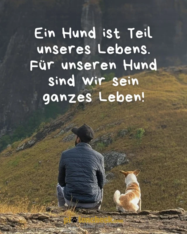 🍃 Der Hund ist Teil unseres Lebens. Für unseren Hund sind wir sein ganzes Leben.🐶🐾

#pfotencheck #urlaubmithund #meinurlaubmithund