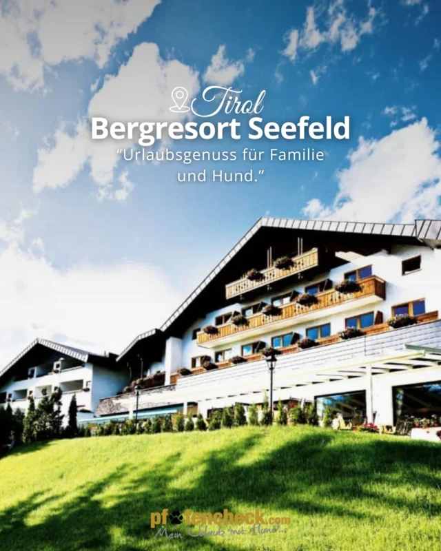 🐾 Empfehlung: 4*S Bergresort Seefeld – Urlaub mit Hund in den Tiroler Alpen 🐶🏔️

Im Bergresort Seefeld werden Vierbeiner rundum verwöhnt: Schon bei der Anreise wartet ein Begrüßungsgeschenk, im Zimmer stehen ein kuscheliger Schlafplatz sowie Wasser- und Futternapf bereit. Auf Wunsch gibt es sogar ein eigenes Hundemenü mit frischen, regionalen Spezialitäten. 🐾

Das Highlight ist die rund 700 m² große, abgegrenzte Hundespielwiese mit Agility-Parcours, Hundehütte, Hundebadeteich und Hundetankstelle. An der Rezeption sind außerdem Kotsackerl, Leinen und Halsbänder erhältlich.

Rund um Seefeld laden zahlreiche Wege zu gemeinsamen Wanderungen und Spaziergängen ein. Im Winter steht zusätzlich eine knapp zwei Kilometer lange Hundeloipe zur Verfügung. ❄️

Während Zweibeiner im 1.400 m² großen Wellnessbereich entspannen, kann der Gassidienst die Betreuung übernehmen.

#pfotencheck #meinurlaubmithund #urlaubmithund #hundefreundlich #hundewillkommen