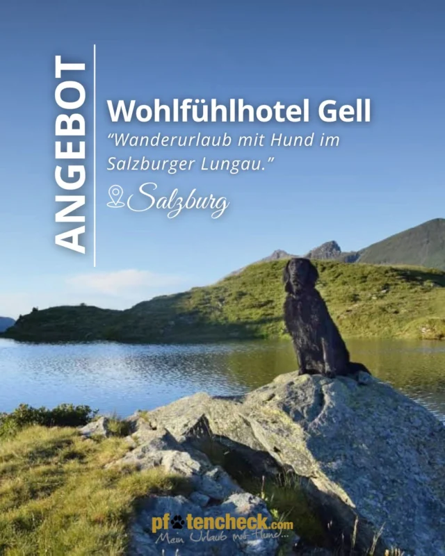 🔎 Angebot: Bergurlaub mit Hund im Salzburger Lungau – inklusive LungauCard 💕🐶

Berge, Natur und jede Menge gemeinsame Erlebnisse: Im familiären Wohlfühlhotel Gell in Tweng genießen du und dein Vierbeiner eine entspannte Auszeit am Fuße des Radstädter Tauerns. Wanderwege, idyllische Bergseen und gemütliche Almhütten bieten beste Voraussetzungen für aktive Urlaubstage mit Hund. 🏔️🐾

➡️ Wohnen im Appartement
Nur etwa 50 Meter vom Hotel entfernt befindet sich das neue Appartementhaus, die Alpenresidenz liegt rund 300 Meter entfernt. Die modernen Ferienwohnungen bieten Platz für bis zu 13 Personen. Ein Aufenthaltsraum sowie ein Saunabereich sorgen zusätzlich für gemütliche Stunden.

🐾 Gemeinsam die Region entdecken
Ob Kräuterwanderung, Bergseetour oder Erlebniswanderung: Das kostenlose Aktivprogramm in Obertauern/Lungau bringt Abwechslung in den Urlaub. Rund um Tweng warten außerdem zahlreiche Wanderwege, Almen und Bergseen darauf, gemeinsam mit deinem Hund entdeckt zu werden. 🌲

♥️ LungauCard inklusive
Die Gästekarte bietet zahlreiche kostenlose Leistungen und attraktive Ermäßigungen bei ausgewählten Bonuspartnern.

♥️ Guest Mobility Ticket inklusive
Während des gesamten Aufenthalts kannst du die öffentlichen Verkehrsmittel des Salzburg Verkehrs nutzen – inklusive An- und Abreisetag.

#pfotencheck #meinurlaubmithund #urlaubmithund