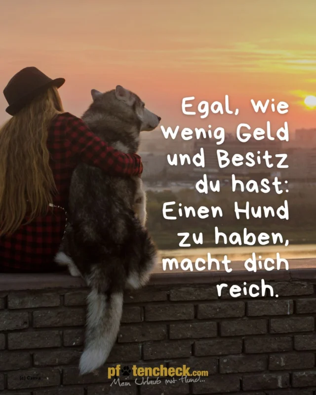 🐶 Egal, wie wenig Geld und Besitz du hast: Einen Hund zu haben, macht dich reich. 🥰

#pfotencheck #urlaubmithund #meinurlaubmithund