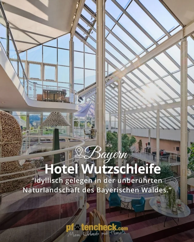 🐾 Empfehlung: Hotel Wutzschleife – hundefreundliche Auszeit im Bayerischen Wald 🐶🌲

Im 4-Sterne-Superior Hotel Wutzschleife gehören Hunde zur Familie. Schon bei der Ankunft wartet ein Hunde-Willkommenspaket im Zimmer. Je nach Zimmerkategorie stehen Balkon oder Terrasse zur Verfügung – teilweise sogar mit direktem Zugang zum Gartenbereich. 🐾

Direkt rund um das Hotel laden weitläufige Außenterrassen, Gartenwege entlang kleiner Wasserläufe sowie zahlreiche Wander- und Radwege zu gemeinsamen Entdeckungstouren ein. Auch der Eixendorfer See und der Fluss Schwarzach bieten schöne Ziele für Ausflüge in die Natur des Bayerischen Waldes.

Besonders praktisch: Ihr Hund darf Sie auch beim Essen begleiten. In den verschiedenen Restaurantbereichen können Sie gemeinsam Frühstück und Abendessen genießen. Selbst auf dem benachbarten 18-Loch-Golfplatz am Eixendorfer See sind Vierbeiner willkommen. ⛳🐶

Während Ihr Hund nach dem Abenteuer entspannt, wartet auf Sie der großzügige Wellnessbereich mit Pool, Saunen und Ruhezonen.

#pfotencheck #meinurlaubmithund #urlaubmithund #hundefreundlich #hundewillkommen